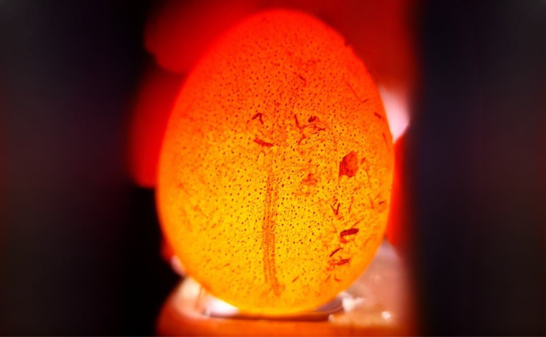 Witamy w kolejnej części naszej wspólnej inkubacji!