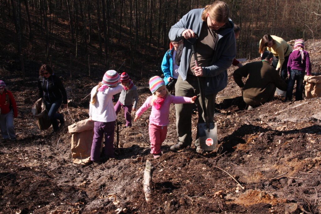 Zdjęcia Katarzyny Dorosz z akcji sadzenia lasu w leśnictwie Sopot