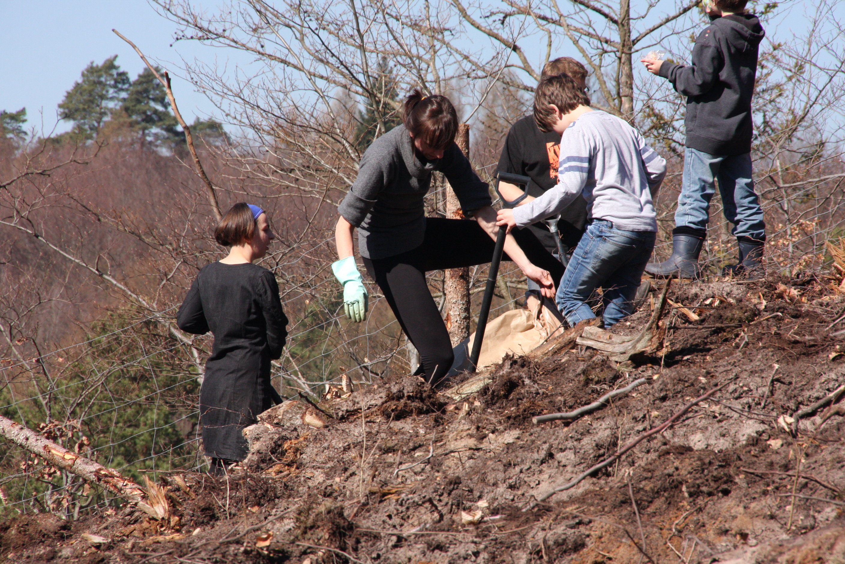 Zdjęcia Katarzyny Dorosz z akcji sadzenia lasu w leśnictwie Sopot