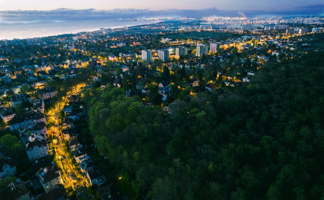 jubileusz 70 lecia gdańskiego leśnictwa sukcesy i wyzwania