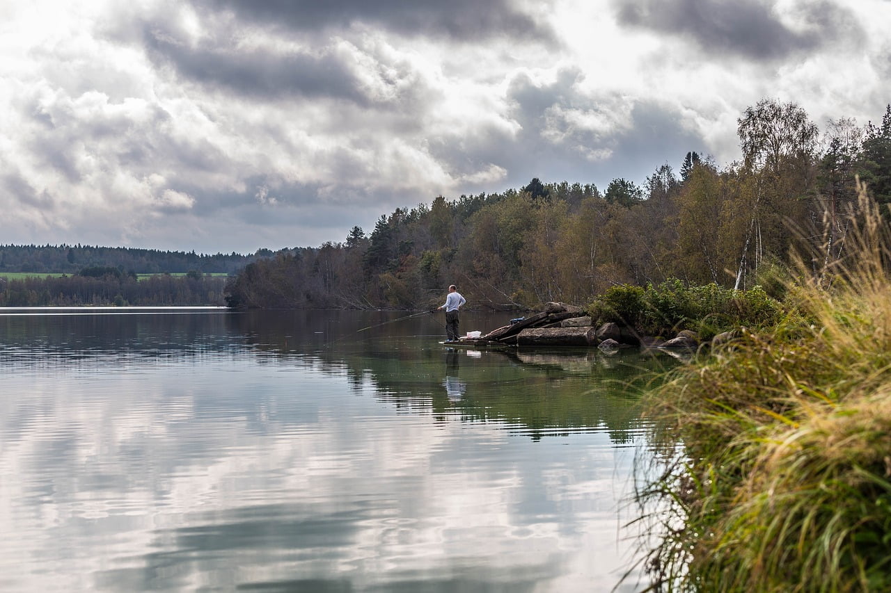 michurinskoye lake 2496076 1280